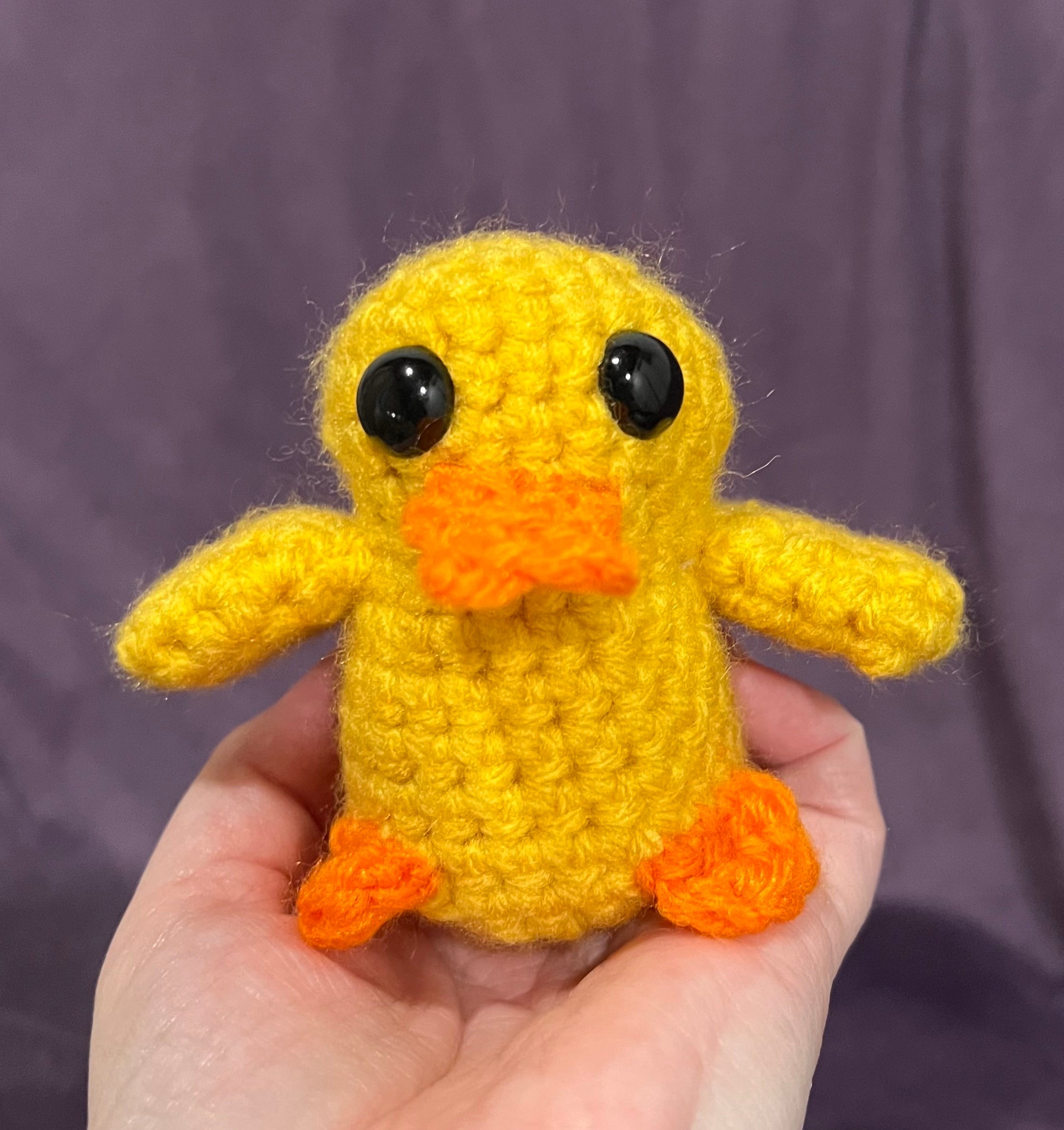 a cute duck
